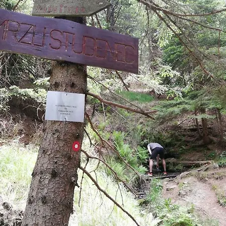 Apartmán Apartma Natura Kope *