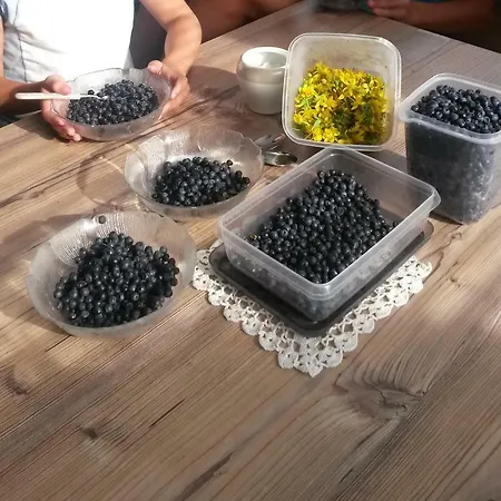 Apartma Natura Kope