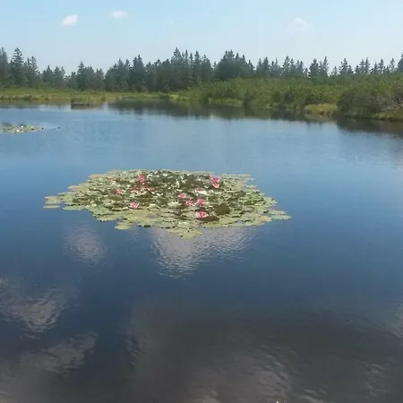 Apartmán Apartma Natura Kope