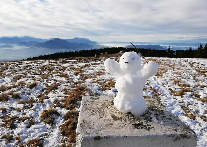 Apartma Natura Kope דירה Smartno pri Slovenj Gradcu