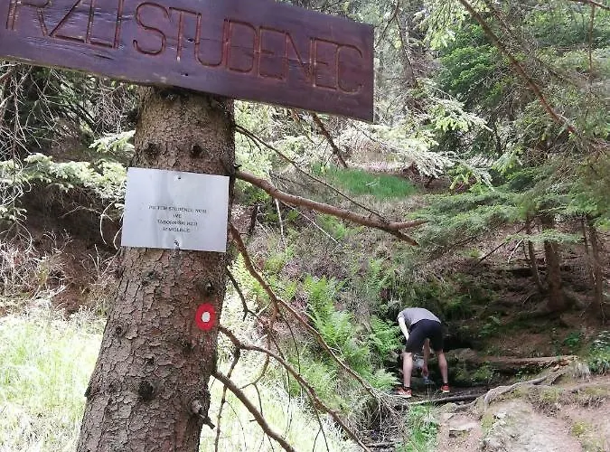 דירה Apartma Natura Kope *