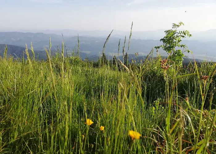 Apartma Natura Kope * Smartno pri Slovenj Gradcu