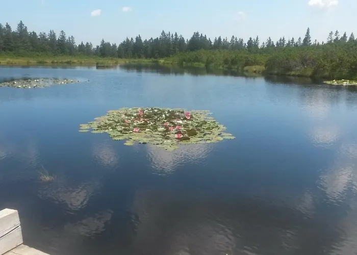 דירה Apartma Natura Kope