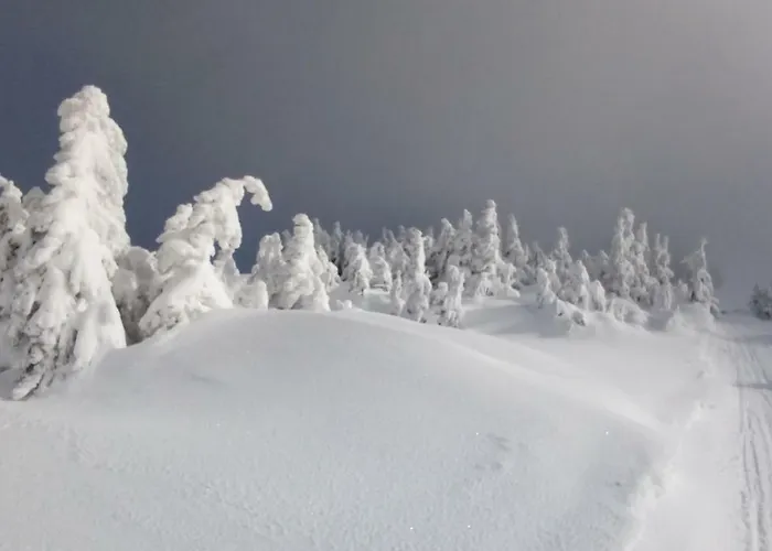 דירה Apartma Natura Kope Smartno pri Slovenj Gradcu